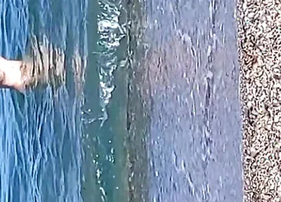 The Water Is Cold Very Cold