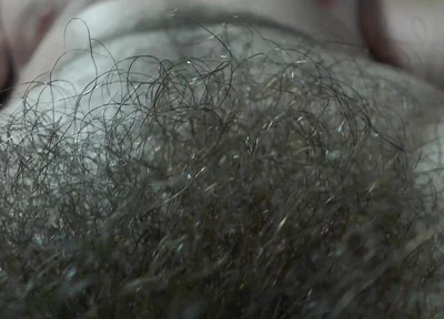 A Alpha's Hairy Pubic Area and Cock