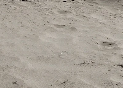 On the Beach Nude