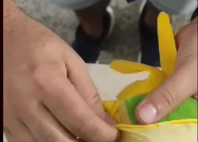 DIY Pussy