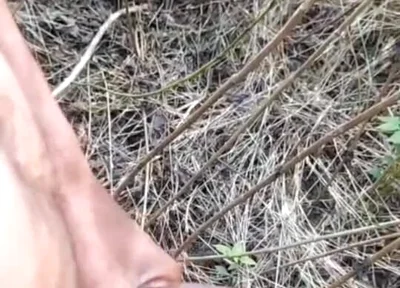 Outdoor Cumshot Complaition in Jungle