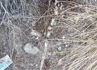 Risky Piss, I Had to Urinate in a Field Behind Some Flats Because My Cock Needed to Pee.