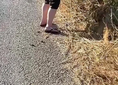 Boy Followed His Straight Friend Who Went for a Pee