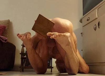 Fan Videos