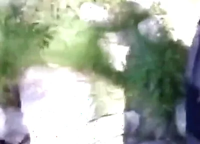 Jon Arteen Pissing Pee Outside. Twink Flirting in a Gay Cruising Park. Sexy Slim Boy in Adidas Sportwear