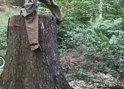 Stump Chase, Part One