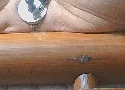 Long Edging