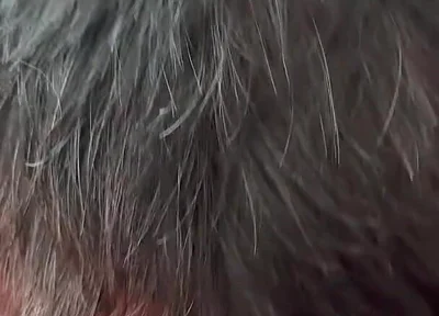 The Secret Intimacy of the Bears 3