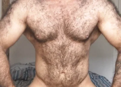 Lobo Video