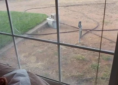 17 Minutes of Wank While You Watch
