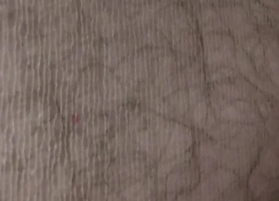 Sightseeing Flight of the Camera Over the Pantyhose