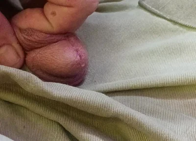 Piss Pig Fag Boy