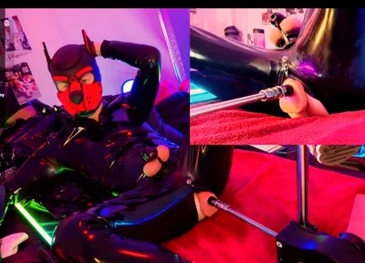 Doggy Rubber Show