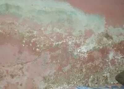 Big Cock Pees and Fucks His Bed Conspicuously