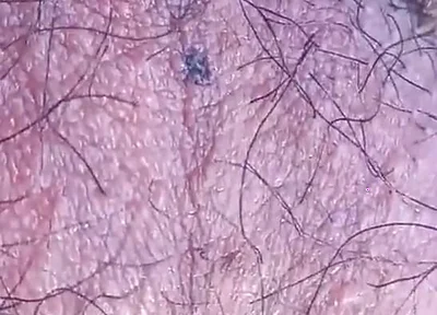 Sexy Twink's Hairy Balls Move All Alone for This Fascinating Gay Porn Video