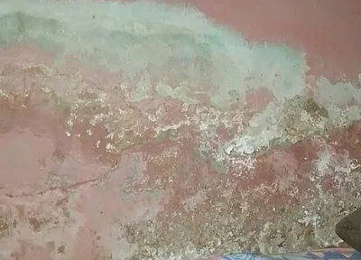 Big Cock Pees and Fucks His Bed Conspicuously