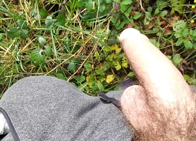 The Horny Stepfather Went on a Hike, When He Took Out His Bonita Cock a Tick Fell on His Cock