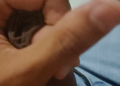 Cumming Loads From First POV