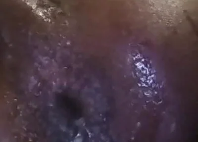 The Bussy