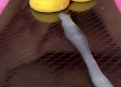 Does Anyone Not Like Sperm Cookies?