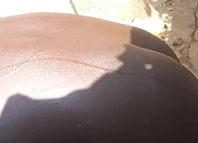 Sneaked; to Shower in My Neighbor's Outdoor Bathroom While I Become Horny