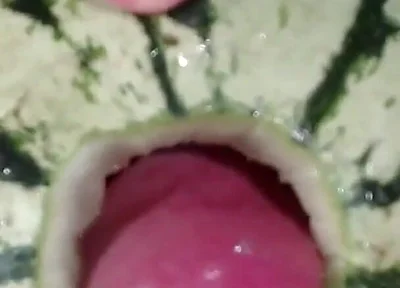 Fucking a Watermelon- the Best Fruit to Fuck