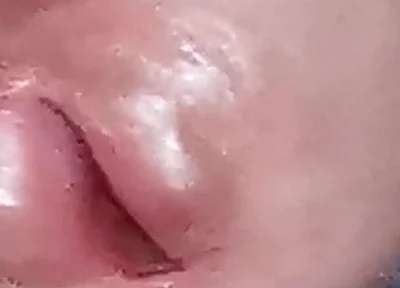 The Dick Growls at Its Owner