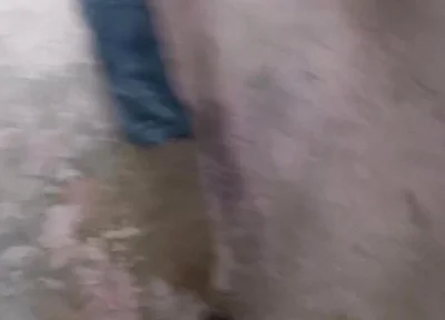 My Big Ass and Big Penis