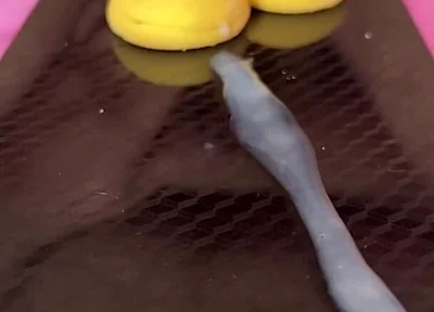 Does Anyone Not Like Sperm Cookies?
