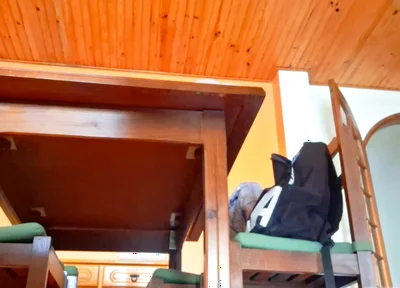 Horny Guy Humps Furniture Like Crazy - Table, Chair, Sofa & Kitchen Counter + Thick Cumshot