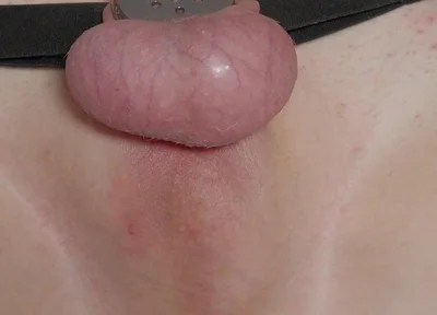 Femboy Cums Through Flat Chastity with Butt Plug