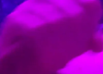 Redhead Teen Quick Orgasm Before Bed