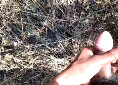 Desi Indian Sex Jungle Fucking Xxx Video