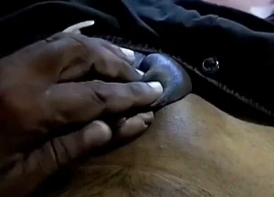 Enjoy My Small Dick
