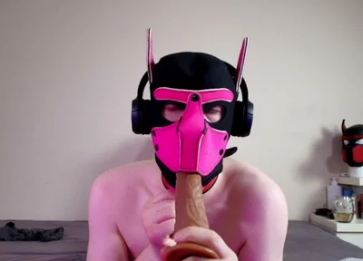 This Could Be Your Cock in Hound's Mouth