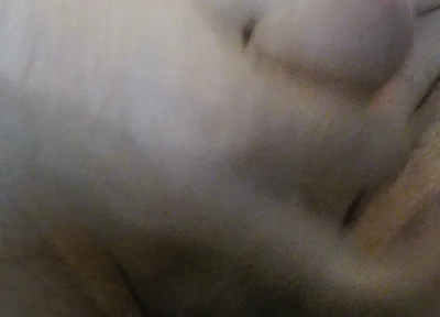 Cum Straw