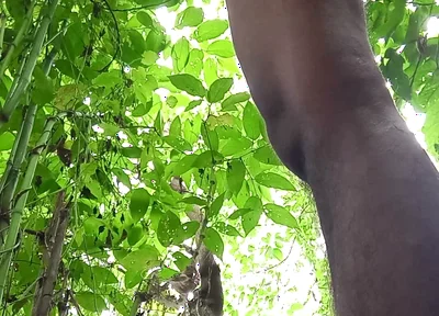 Jungle Masturbate I Need to Go Out for Horny
