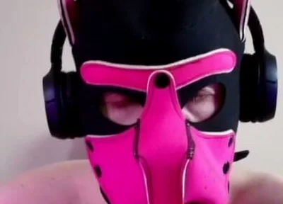 This Could Be Your Cock in Hound's Mouth