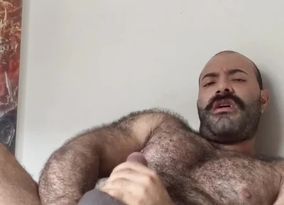 Lobo Video