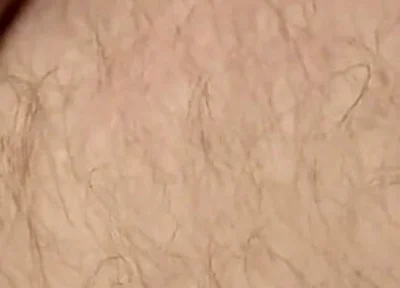 Hot Sofa Fuck
