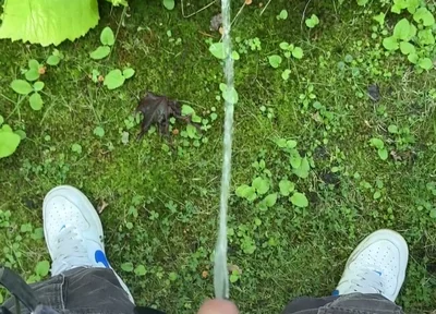 Golden Stream: Peeing in Paradise