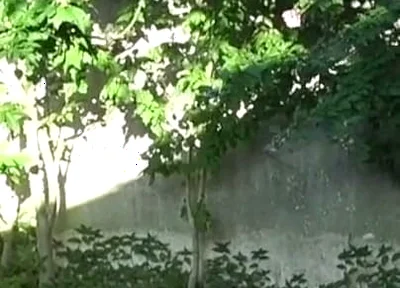 Fucked Raw in Exhib Ublic