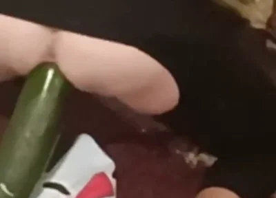 Attractive Guy Fucking in Bed and Inserting Lights Into His Anus.