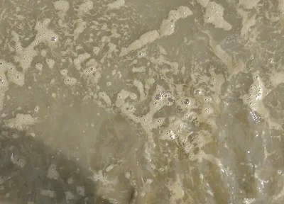 Barefoot in the September North Sea in Wangerland