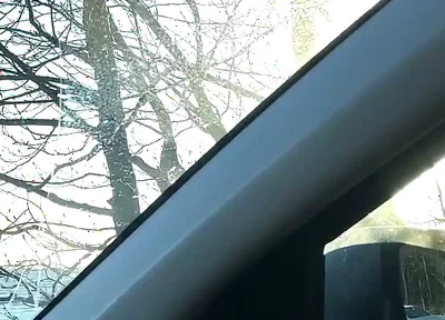 Erking off in the Car and Cumming - Uncut Cock