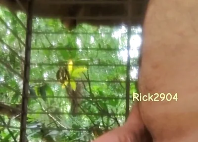 Playing with My Dick