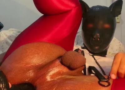 Please Insert a Very Thick Dick with a Leash Into My Ass and Whip Me a Lot While I Hold This Position.