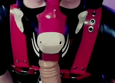 Goodboy Teases Playful Pup