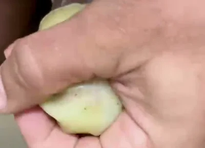 How to Use an Egg!