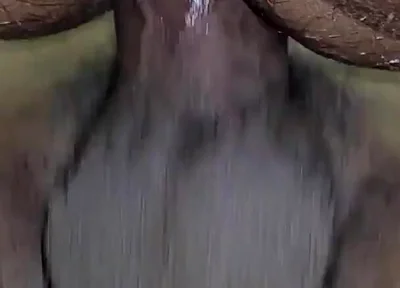 Twink Boy Try Big Dick First Time and Break Asshole. Deep Hard Fuck Gay Sex with Friend at Hotel Bangla Desi Teen Boy Sex
